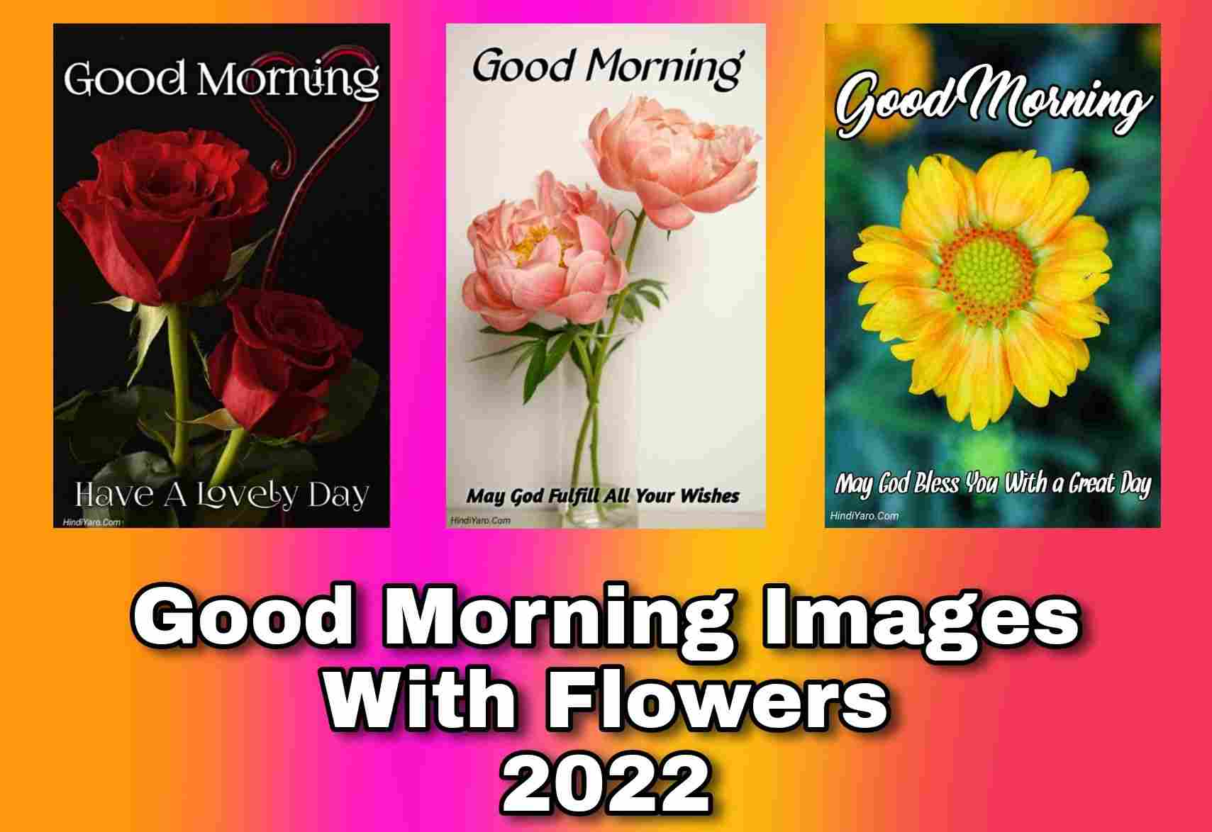 100+ Good Morning Images With Flowers Download HD