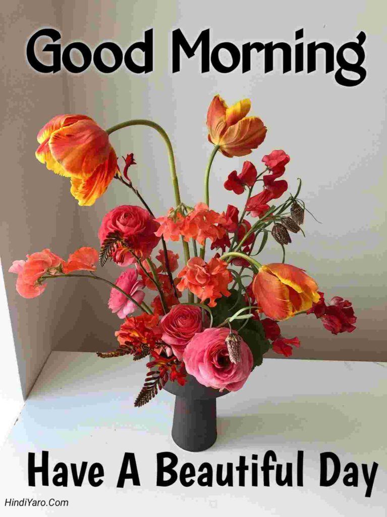 Good Morning Images With Flowers 