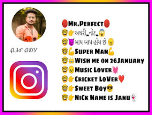 Instagram Bio In Gujarati