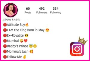 Instagram Bio In Hindi