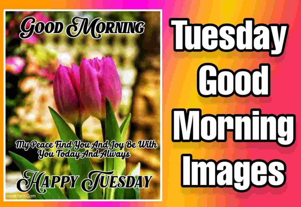 Tuesday Good Morning Images