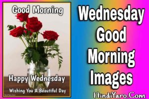 Wednesday Good Morning Images [ Happy Wednesday
