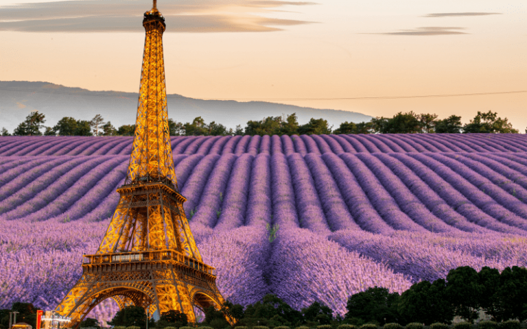 From Paris to Provence: A Whirlwind Adventure in France