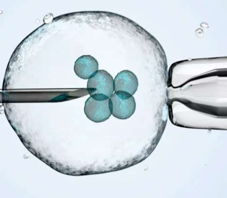 IVF Treatment is a scientific boon for reaping the next generation